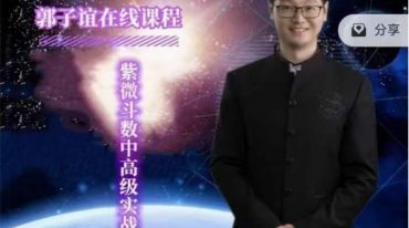 郭子谊-紫微斗数零基础到实战应用