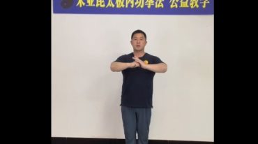 朱亚昆 零基础太极内功核心太极桩功 太极发劲 太极大杆