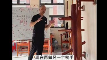 咏春拳小念头教程（精华16课）