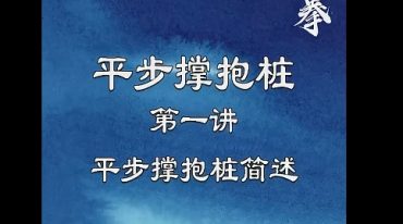 意拳养生系统课程