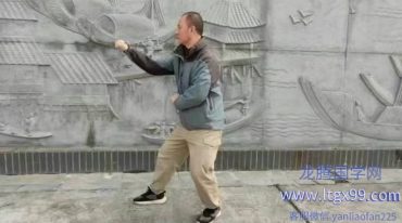 张超 书本上参不透的关窍——形意拳钻拳的细节与注意事项