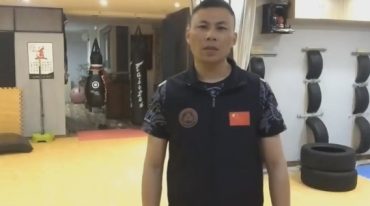 王震 秘传核心单双鞭锏