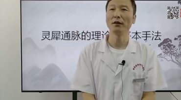 张洪溱—横渠医派灵犀通脉疗法
