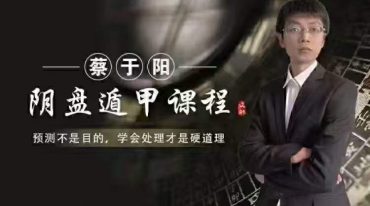 蔡于阳奇门遁甲