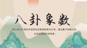 杨思坤–八卦象数系列网课