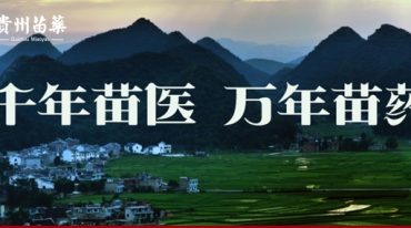 苗方桃花散临床特效验方