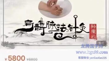 孙星云扁鹊脉法针