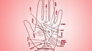 张理仁一掌经内部讲义
