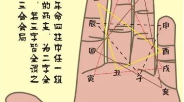 康姐一掌经