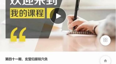 玄莹归原双穴灸38课视频