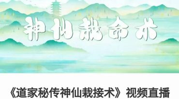 《道家秘传神仙栽接术》视频直播