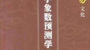 飞鱼汉字数字预测305页.pdf
