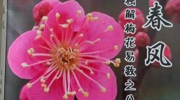 独解梅花易数之八法 《指点春风》栾海涛.pdf