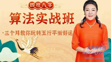 何咏慧-四柱八字算法实战课 全60讲 37个小时