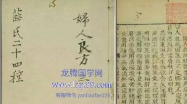 《薛氏二十四种妇人良方》.pdf