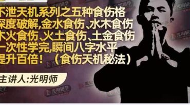 不泄天机系列之五种食伤格深度破解教材》教材.pdf