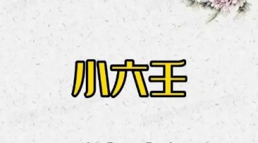 奕如老师四盘小六视频