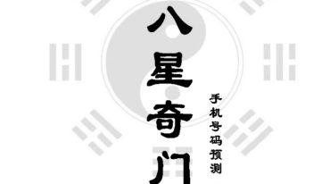 八星奇门数字 弟子升级版.pdf