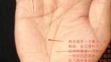 赵洪鹏手相案例70例资料