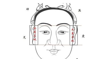 刘东刚相学