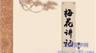 璞玄梅花讲记.pdf