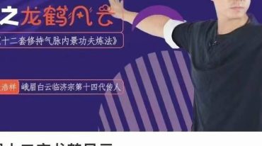 峨眉十二庄龙鹤风云