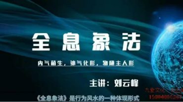 刘云峰全息象法视频课