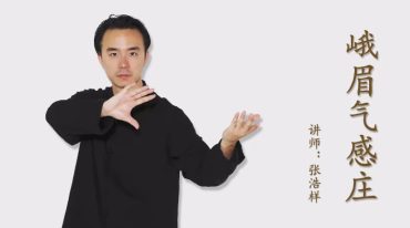 峨眉气感庄课程