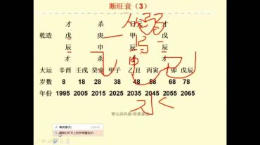 弦老师 八字高级班 105集
