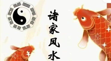 诸家风水理气应用418页.pdf
