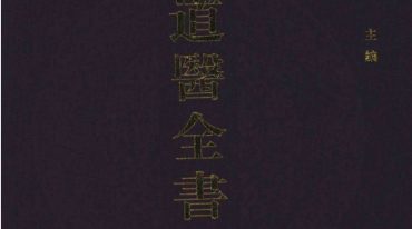 道医全书