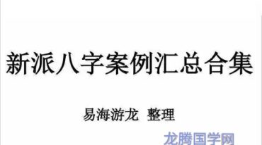 易海游龙新派八字