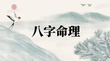 青城王易道八字算法