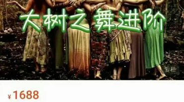 afrt 大树之舞进阶元气系列