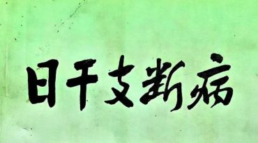 日干支断病.pdf