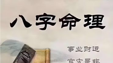 徐政扬 八字命理子平真诠