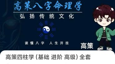 高策四柱学 基础 进阶 高级 全套视频