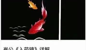 崔公 入药镜 详解