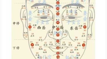 面相300问  面相教学资料230页.pdf