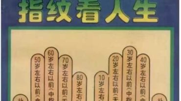 指纹看人生.pdf