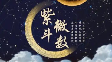 正语紫微-一阶-星曜总论