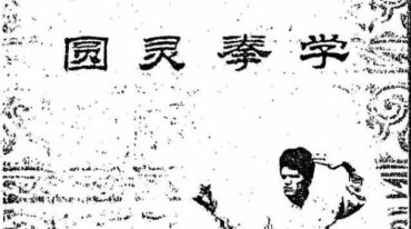 史小文 圆灵拳学.pdf