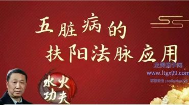 傅文录 五脏病的扶阳法脉应用 全63讲