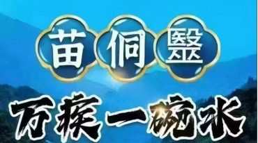 天壹老师苗侗毉 万疾一碗水