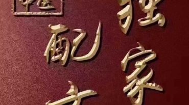 道医临床脑血栓正版.pdf