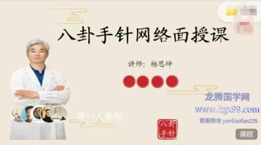 杨思坤八卦手针网络课