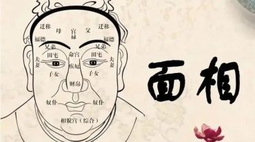 龙羿龍羿面相 面相精英版