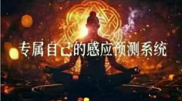 交换 打造专属自己的感应预测系统