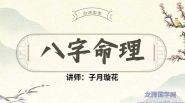 子月璇花 四柱八字引航班 从0开始到精通 全24讲视频课