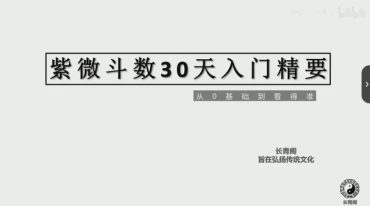 长青阁紫薇斗数30天保姆教学初级班29集